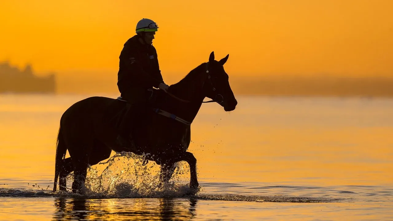 A Horse Named Winx backdrop