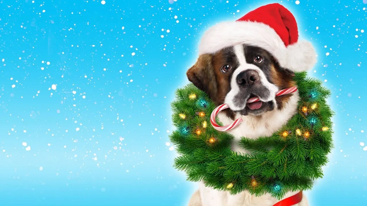 Beethoven's Christmas Adventure backdrop