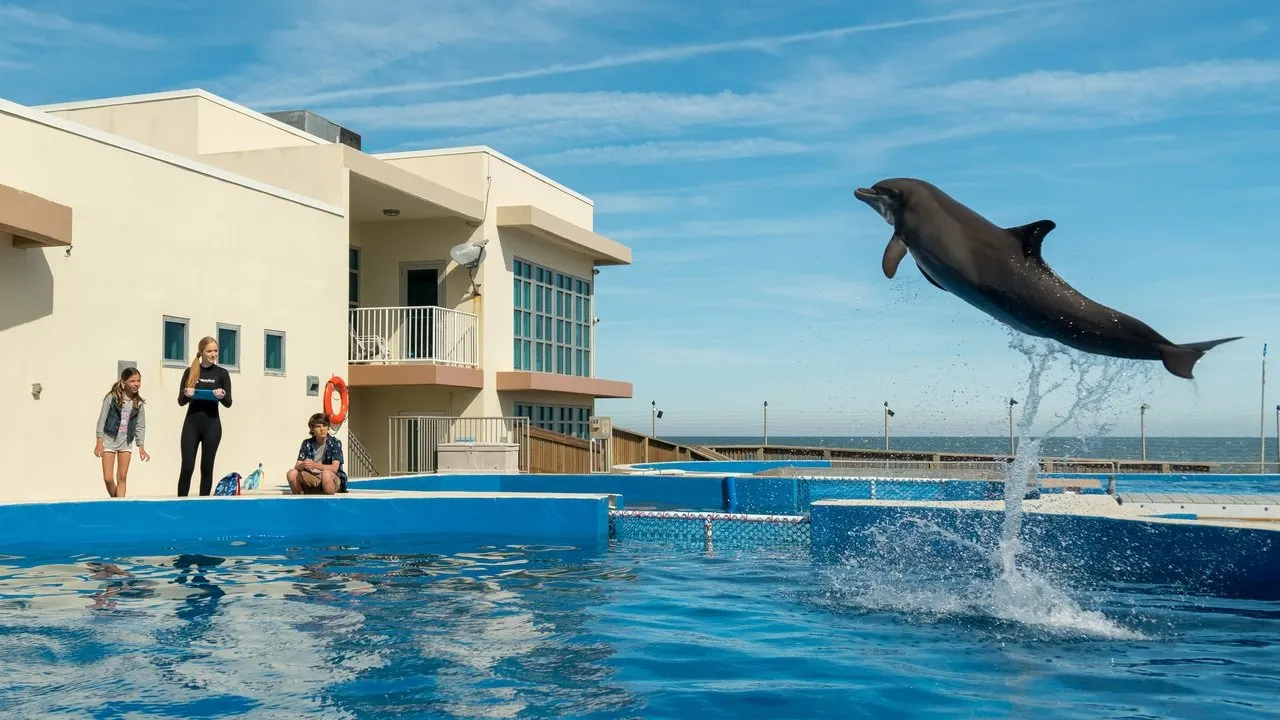 Bernie the Dolphin backdrop