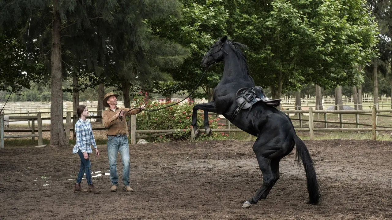 Black Beauty backdrop