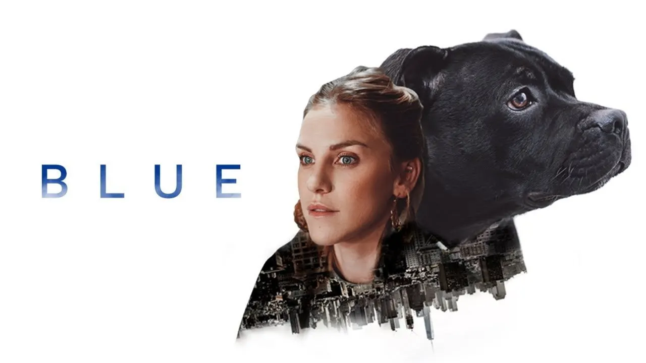 Blue backdrop