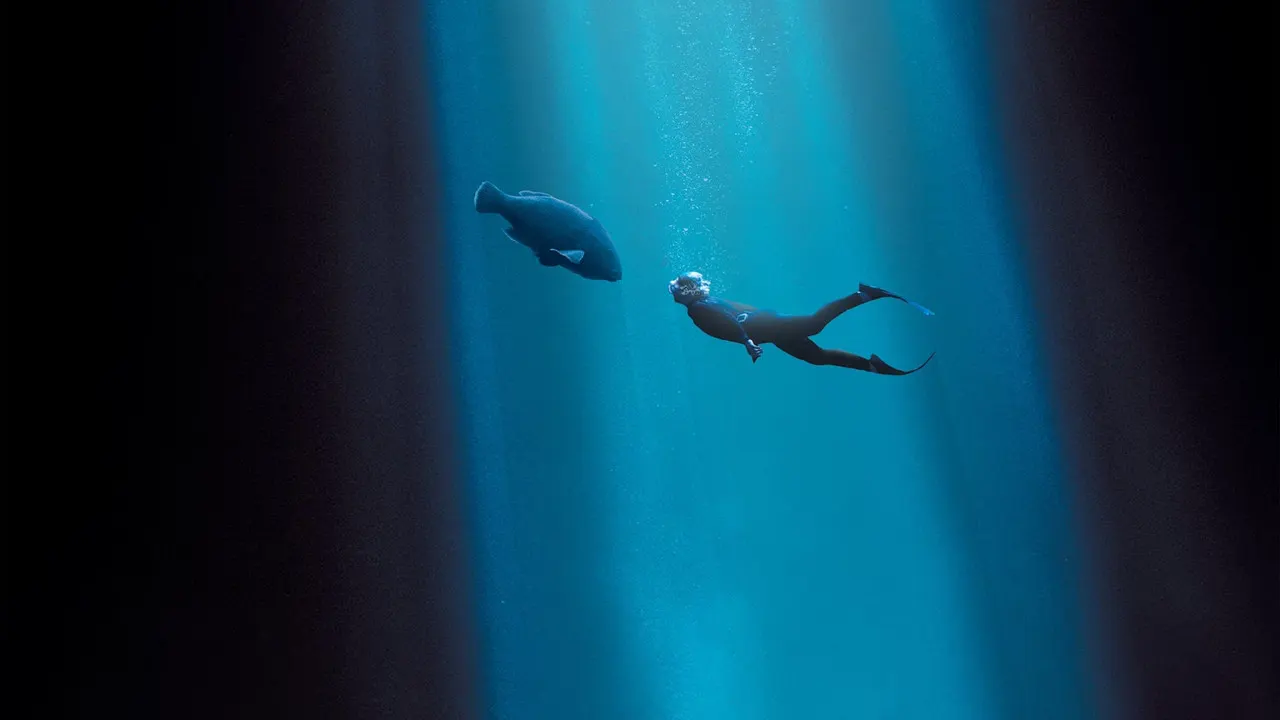 Blueback backdrop