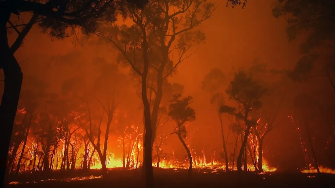 Burning backdrop