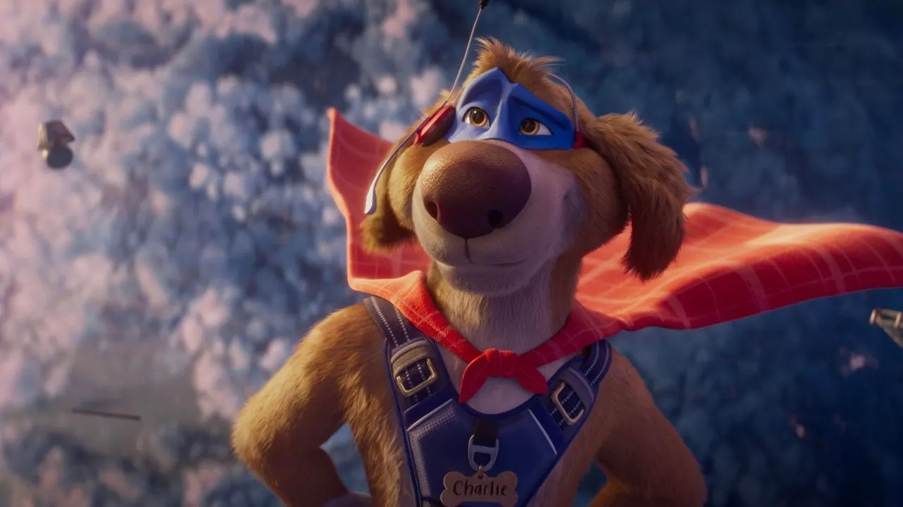 Charlie the Wonderdog backdrop