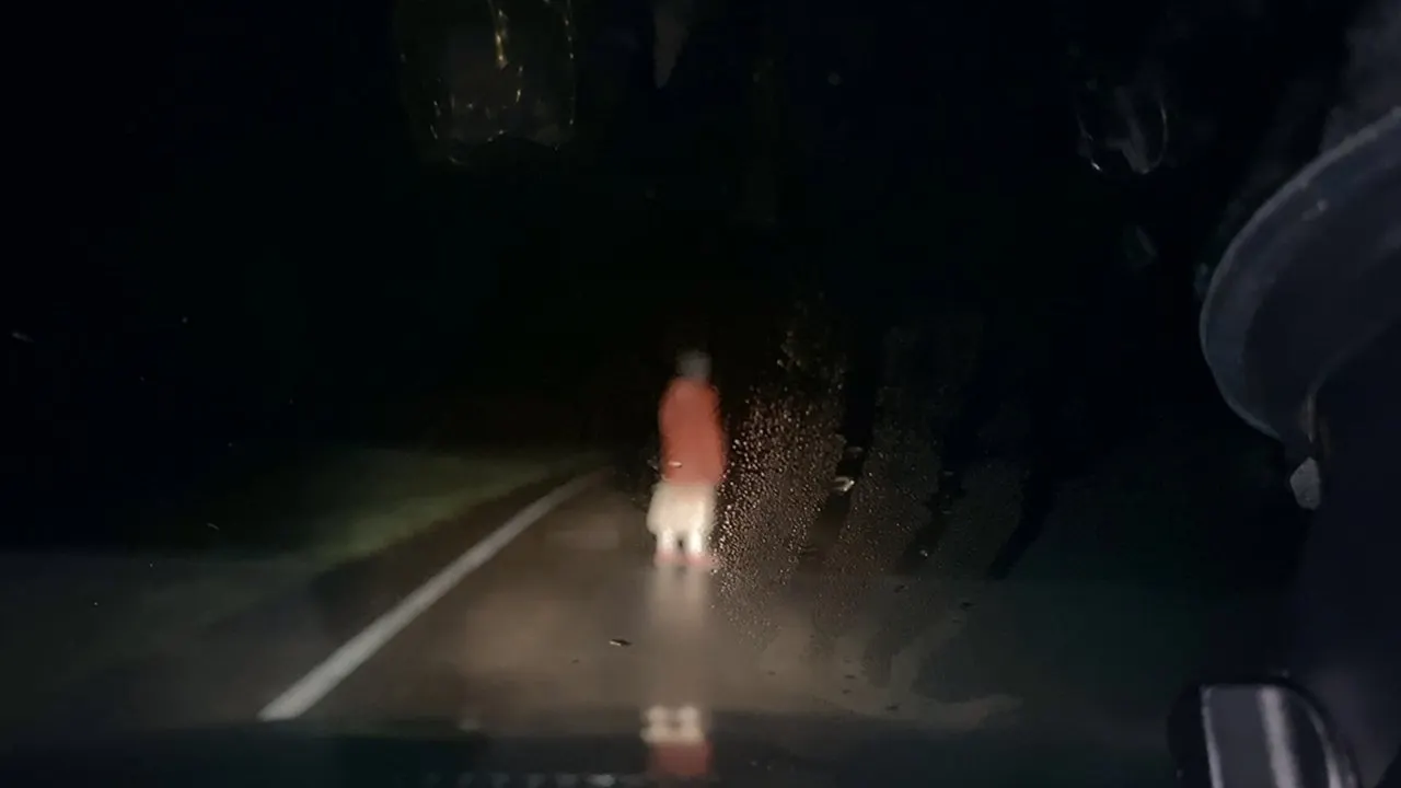 Dashcam backdrop