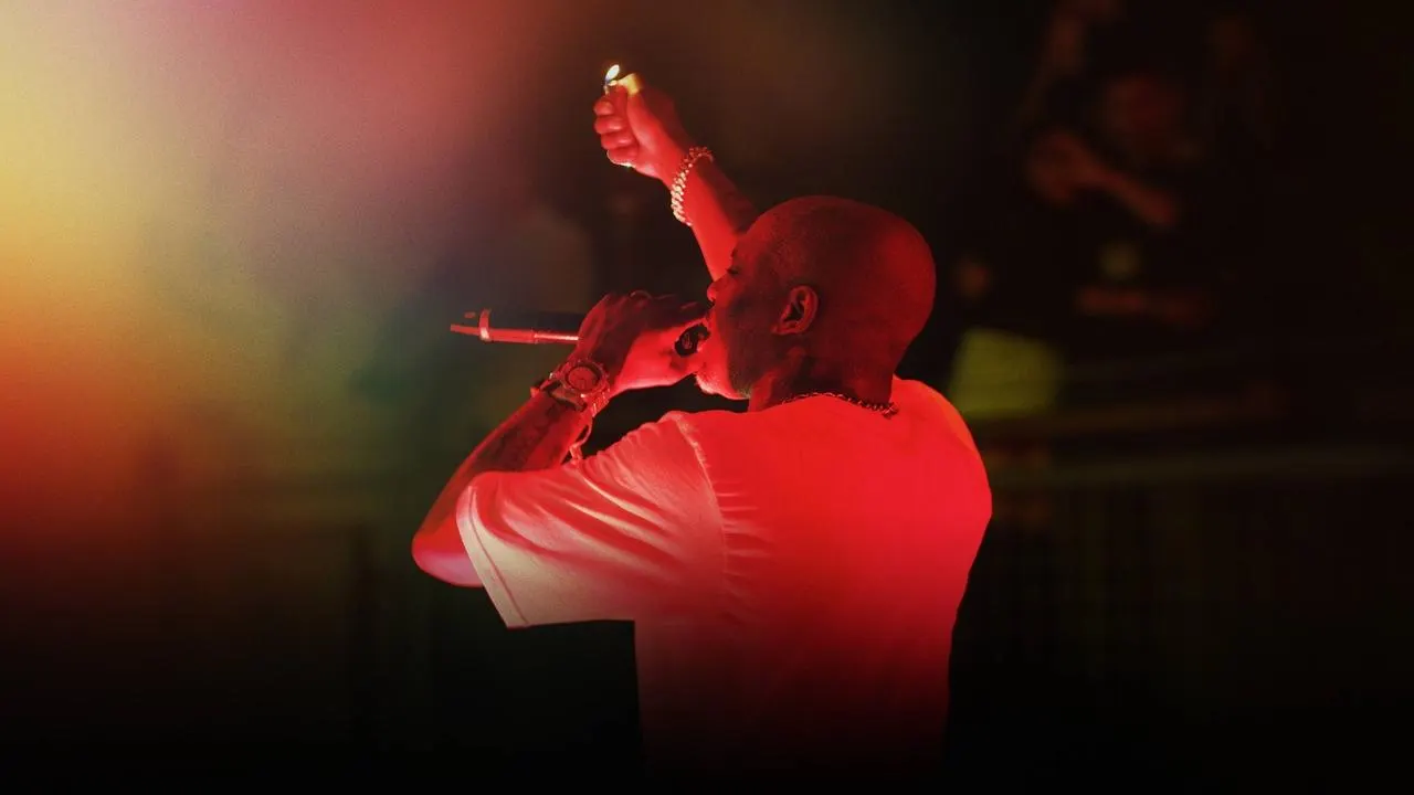 DMX: Don't Try to Understand backdrop