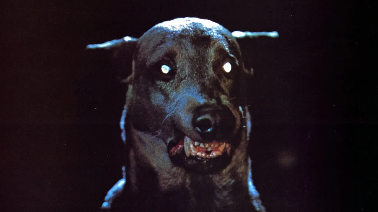 Dracula's Dog backdrop