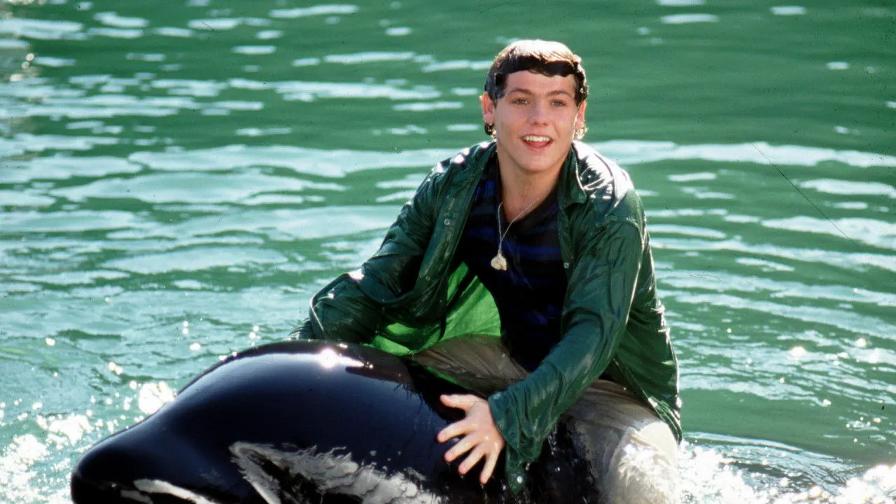 Free Willy 3: The Rescue backdrop