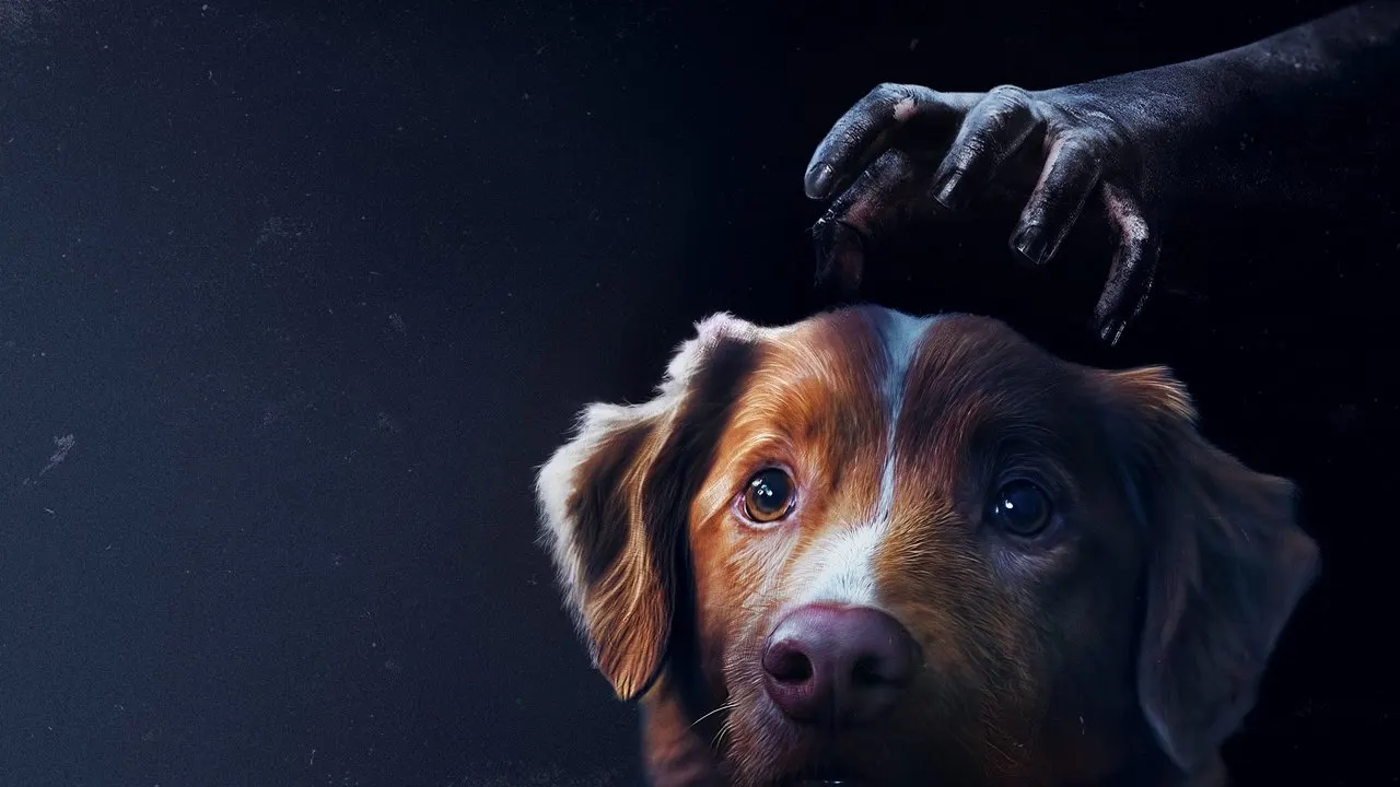 Good Boy backdrop