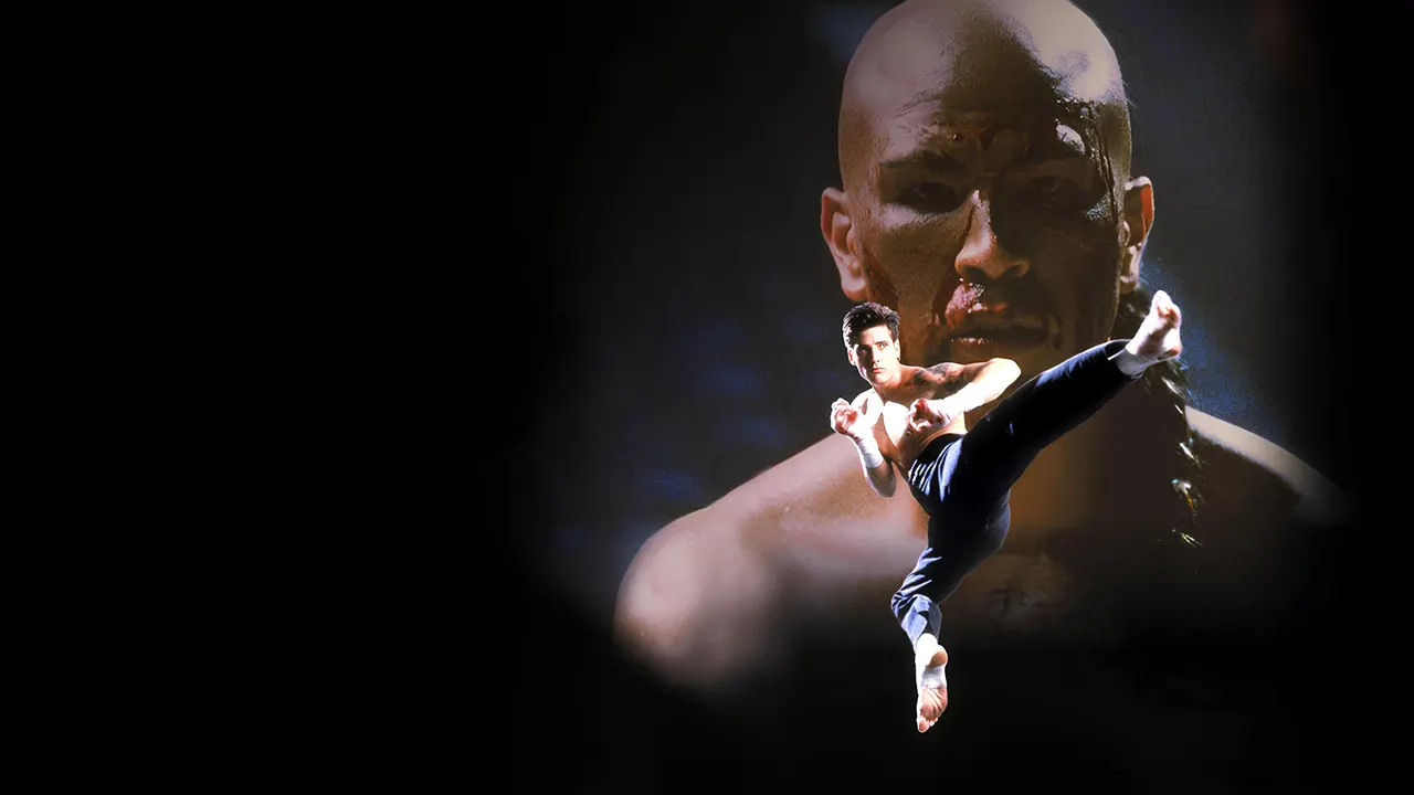 Kickboxer 4: The Aggressor backdrop