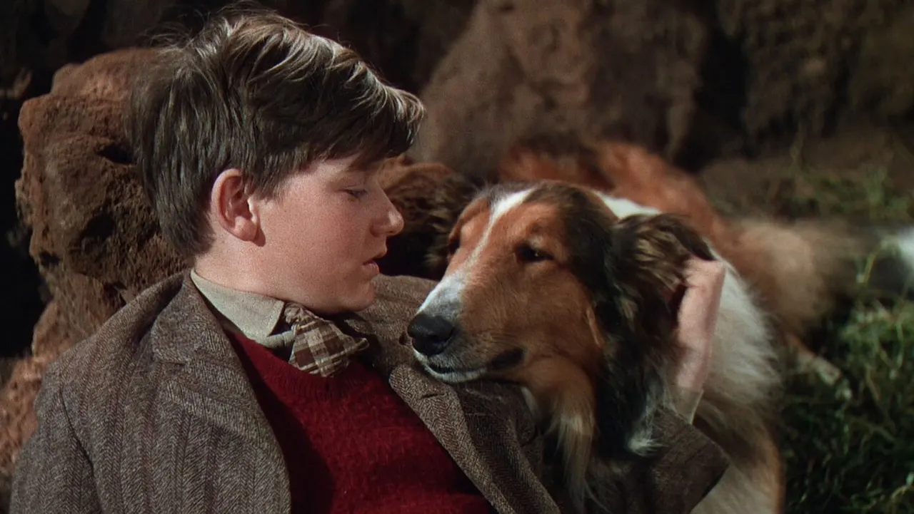 Lassie Come Home backdrop