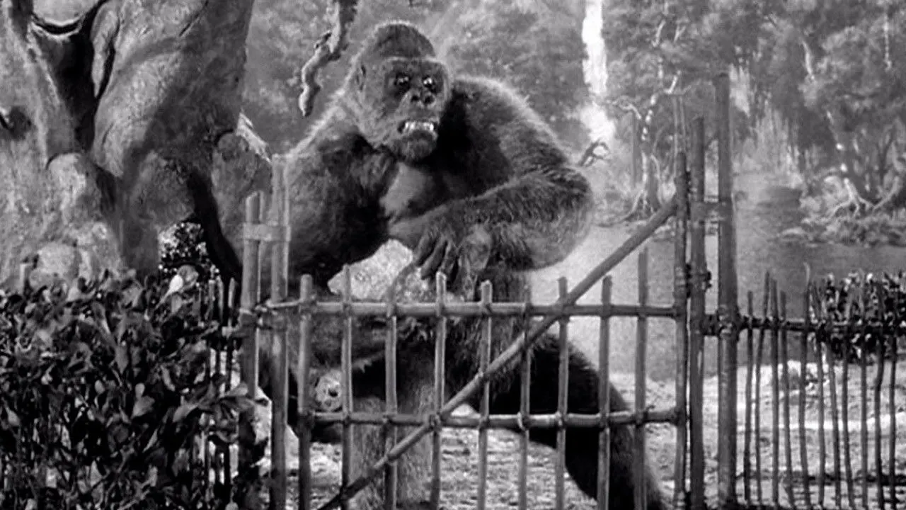 Mighty Joe Young backdrop