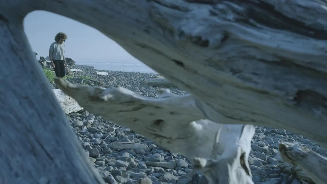 Seaside backdrop