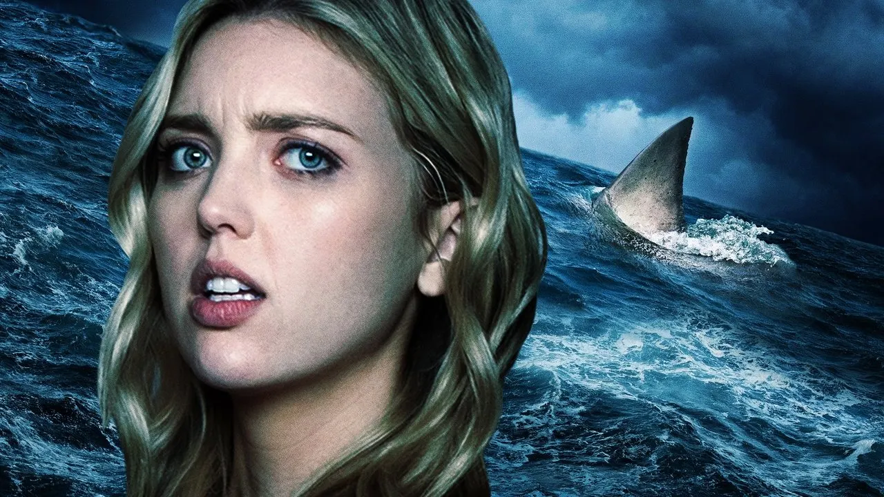 Shark Season backdrop