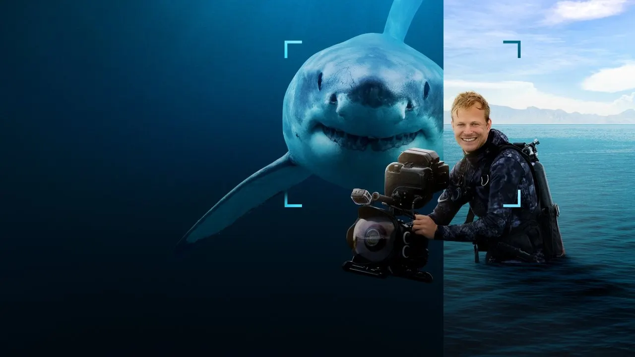 Sharks Up Close with Bertie Gregory backdrop