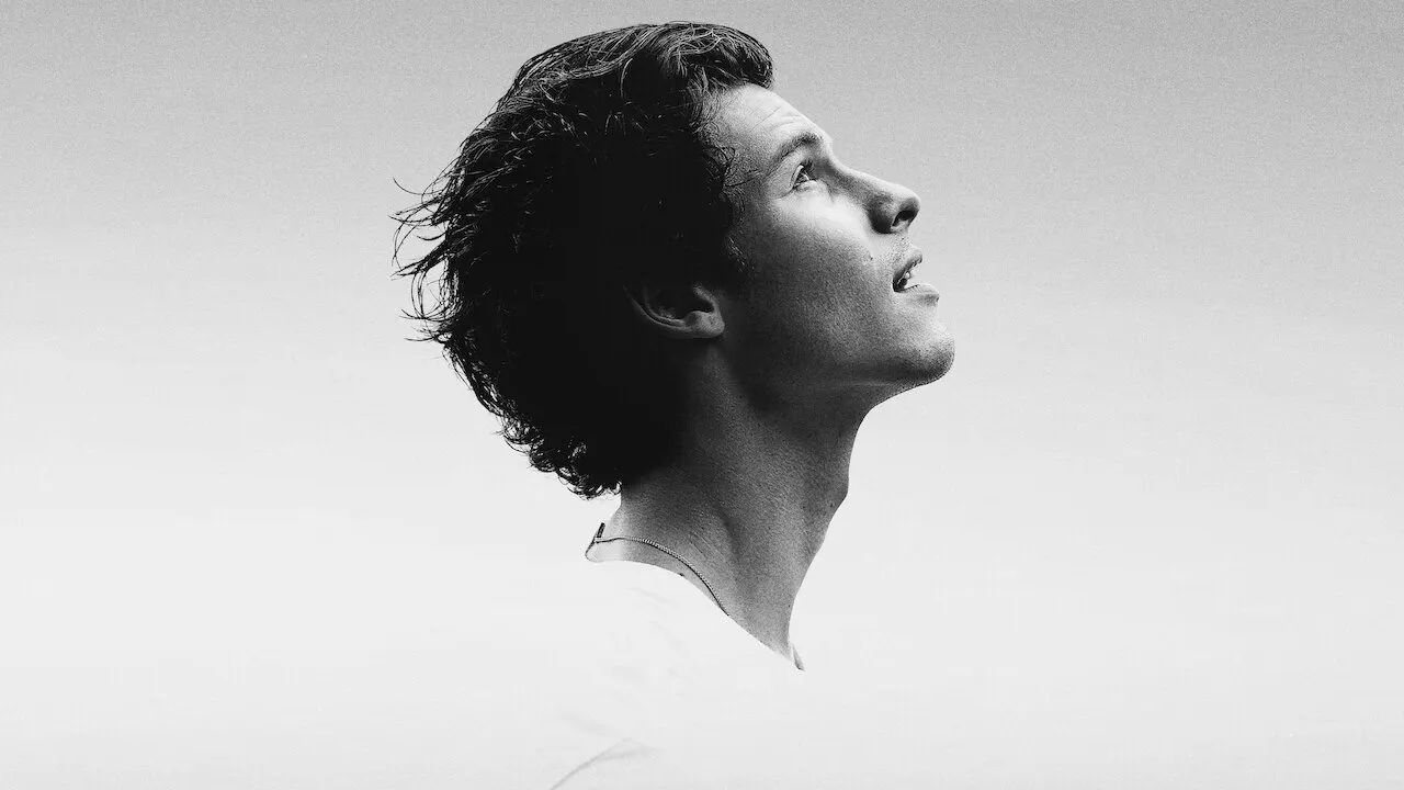 Shawn Mendes: In Wonder backdrop