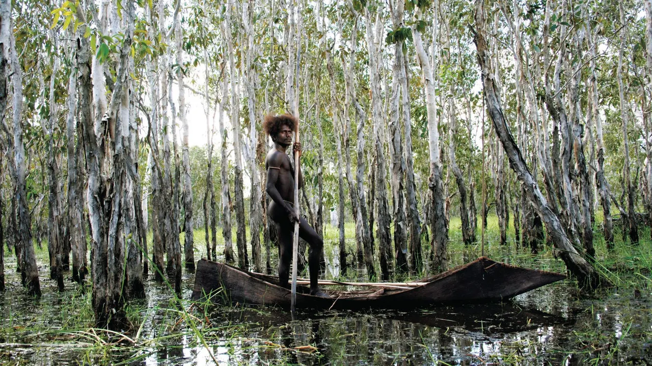 Ten Canoes backdrop