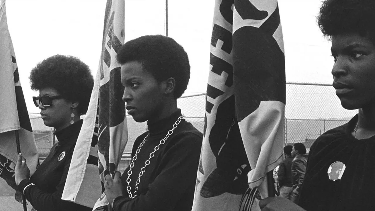 The Black Panthers: Vanguard of the Revolution backdrop