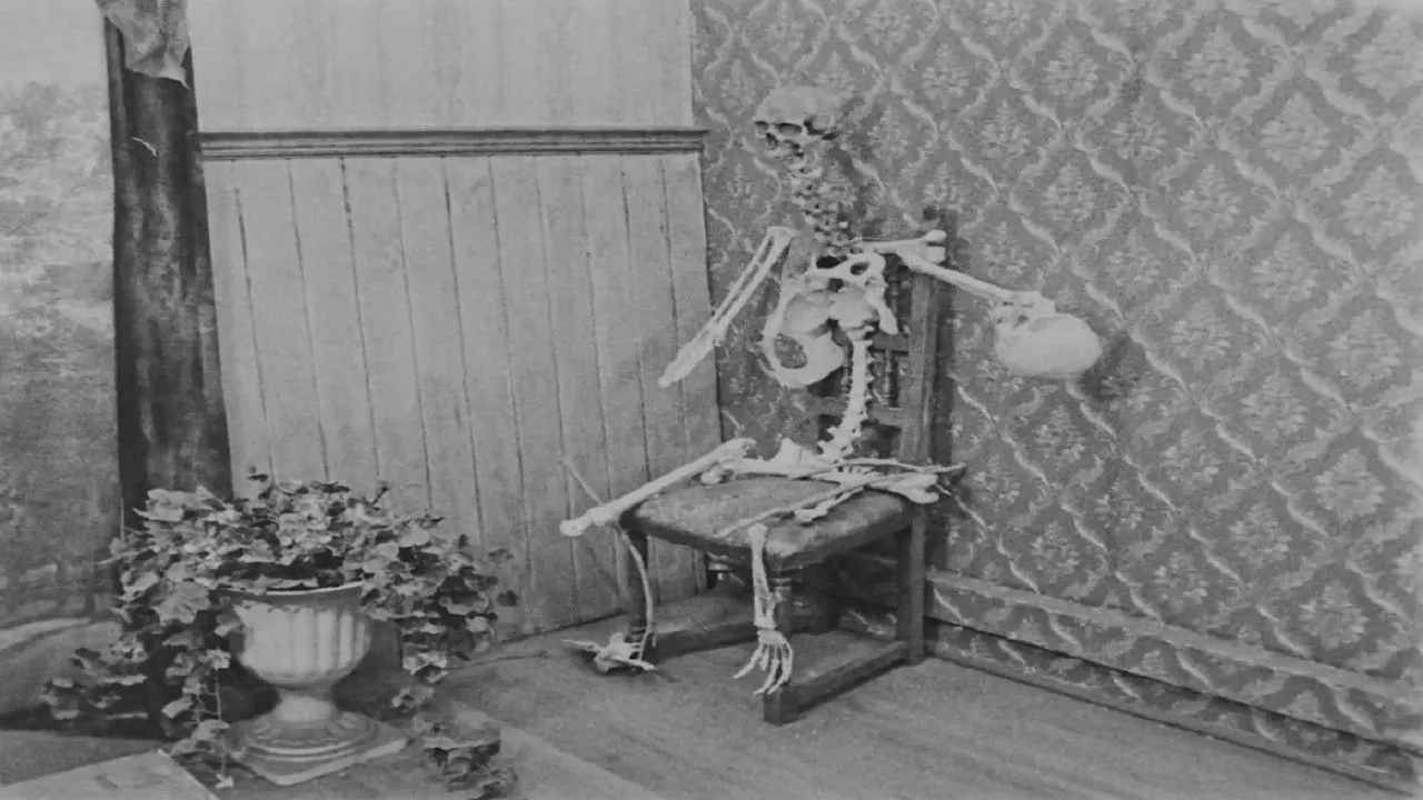 The Bones backdrop
