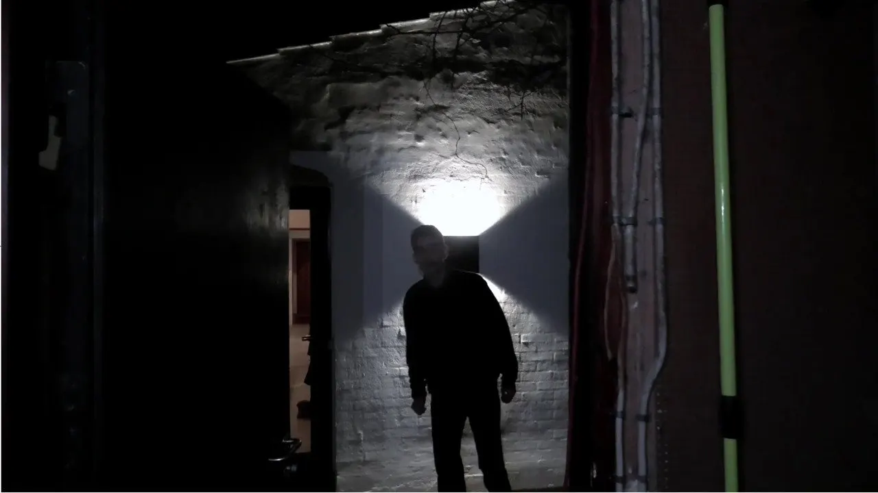 The Revenge backdrop