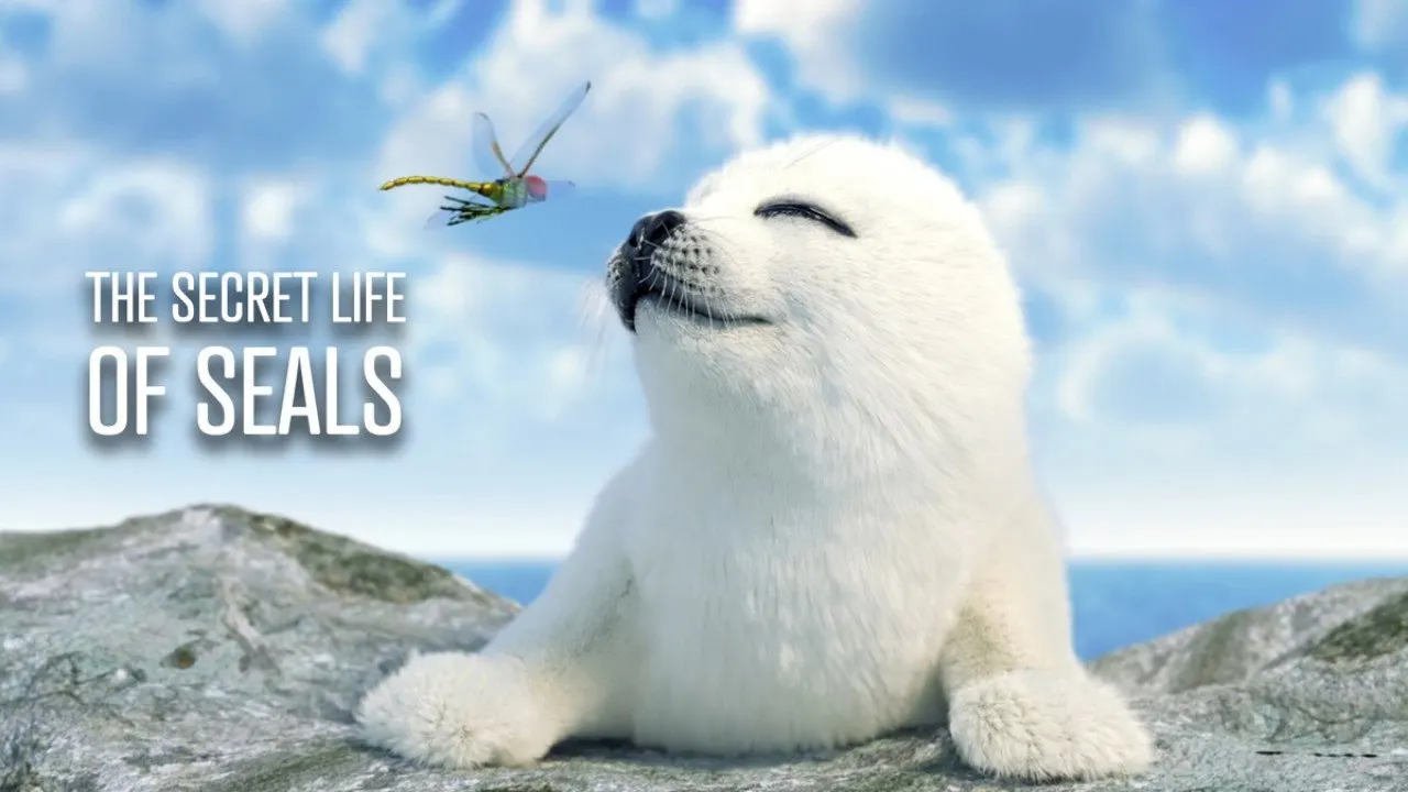 The Secret Life of Seals backdrop