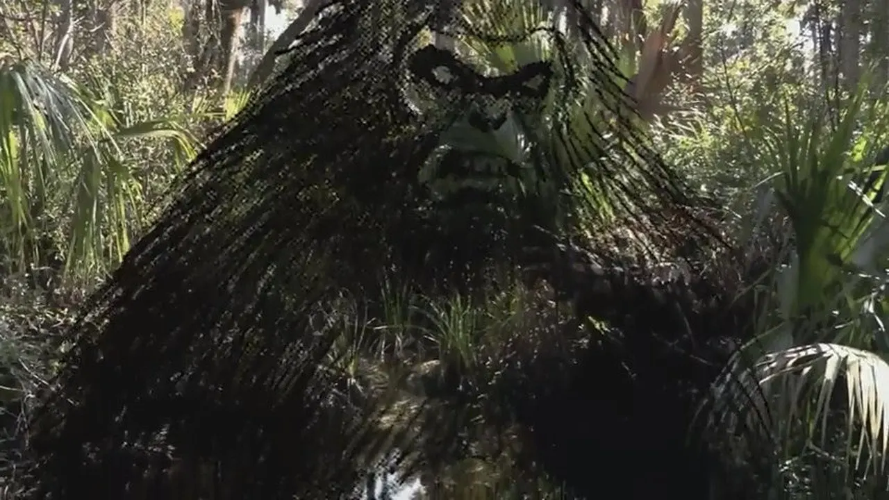 The Skunk Ape Lives backdrop