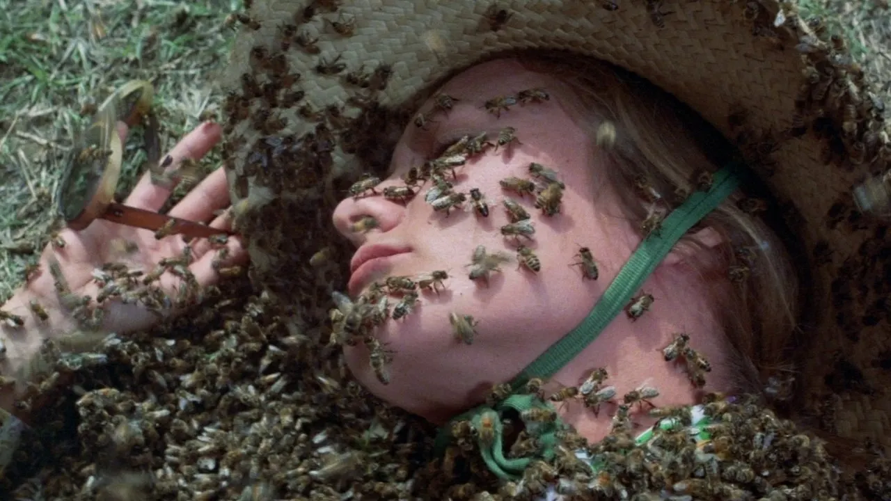 The Swarm backdrop