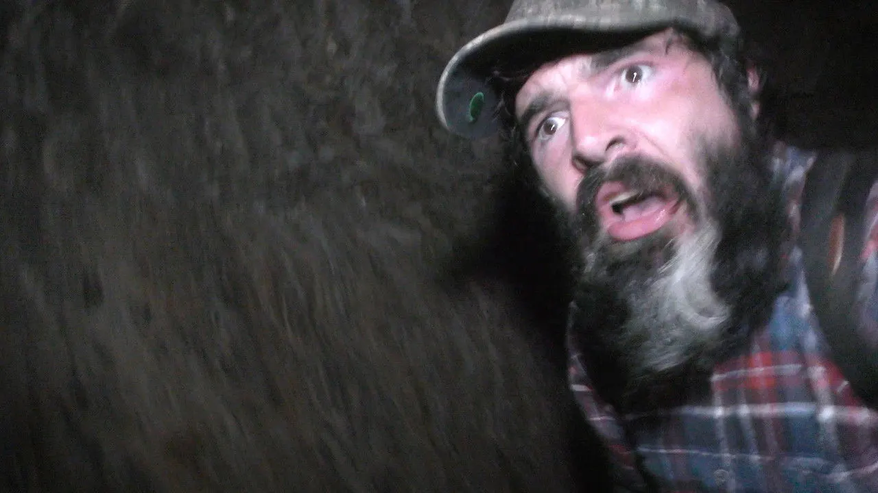 The Wilderness Tapes: Volume One backdrop