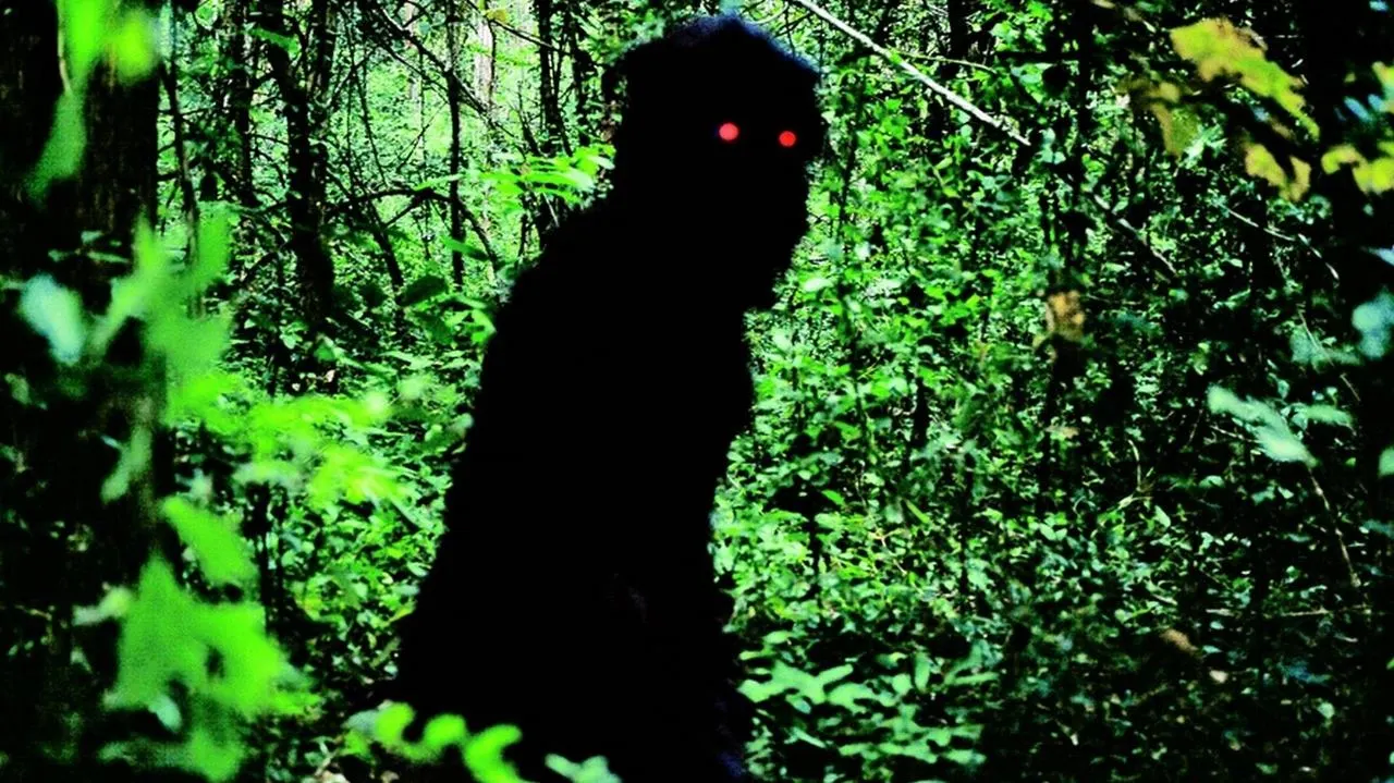 Uncle Boonmee Who Can Recall His Past Lives backdrop