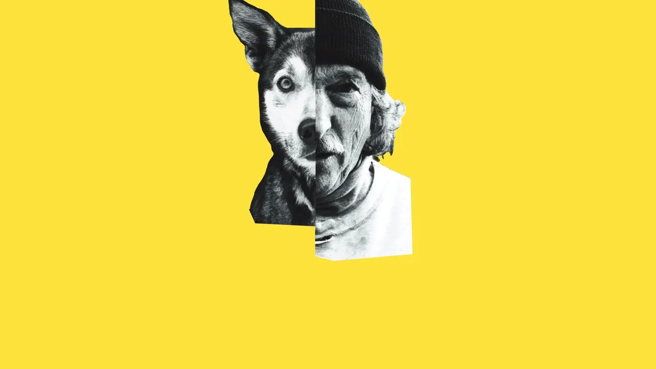 Underdog backdrop