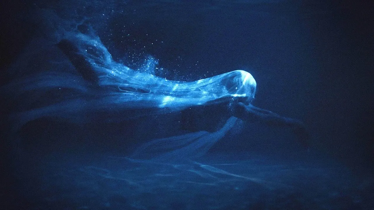 Water backdrop