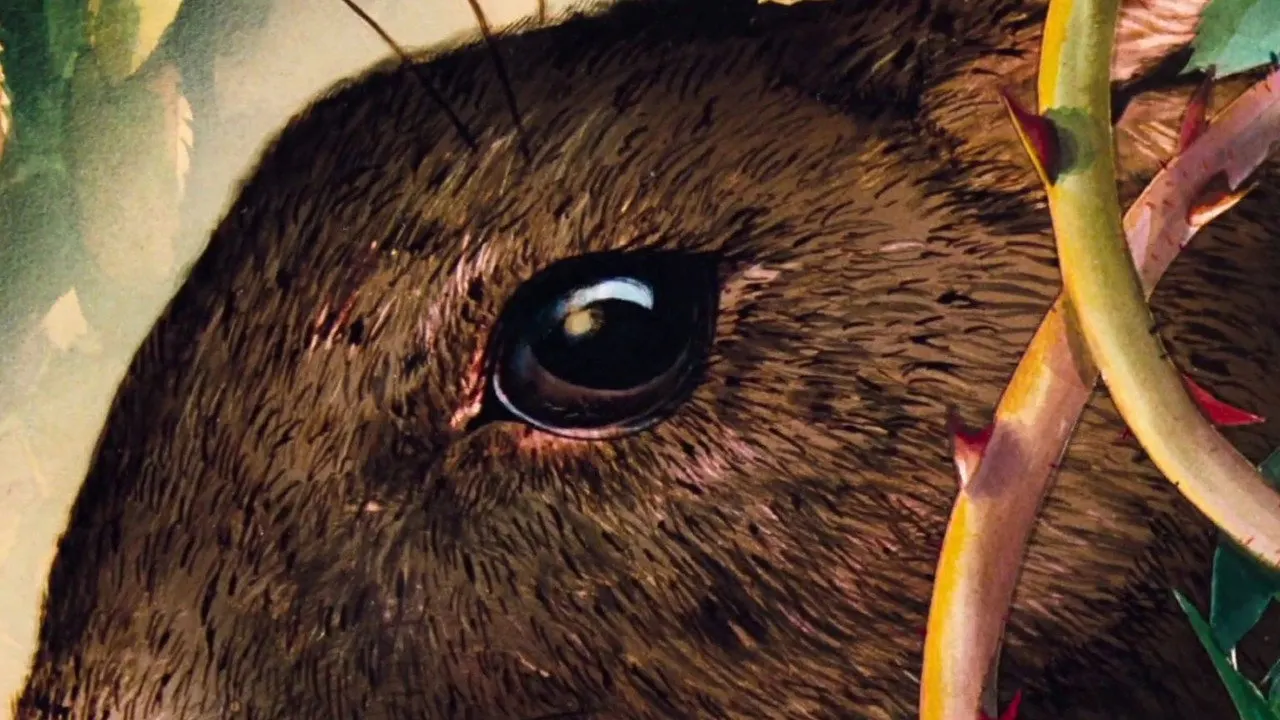Watership Down backdrop