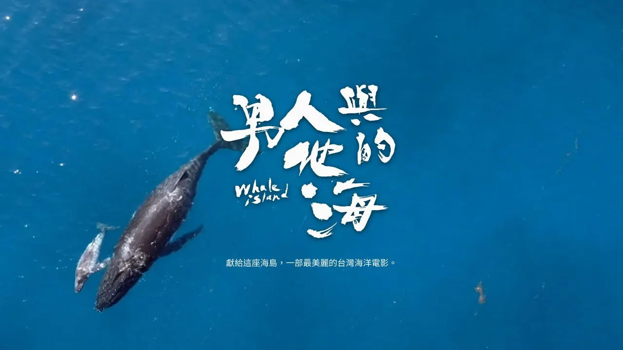 Whale Island backdrop