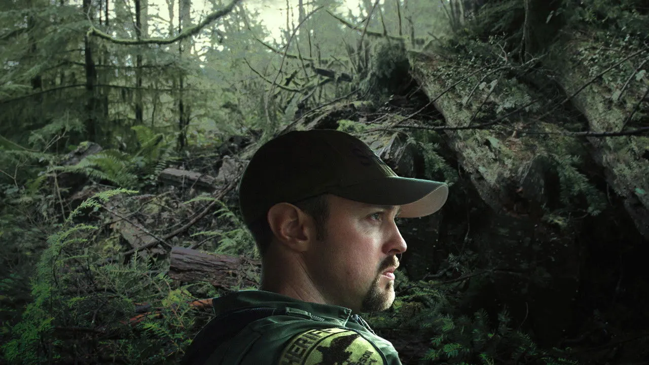 Dark Woods Justice backdrop