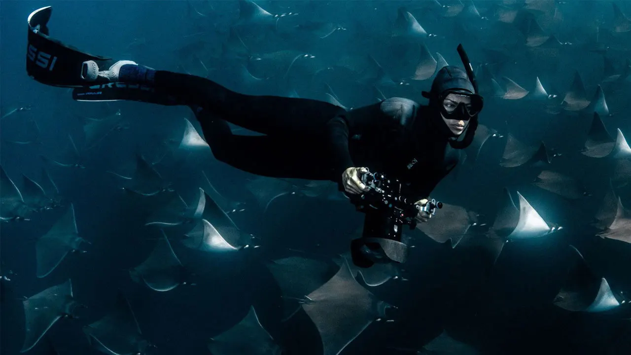 Deep Dive North America backdrop