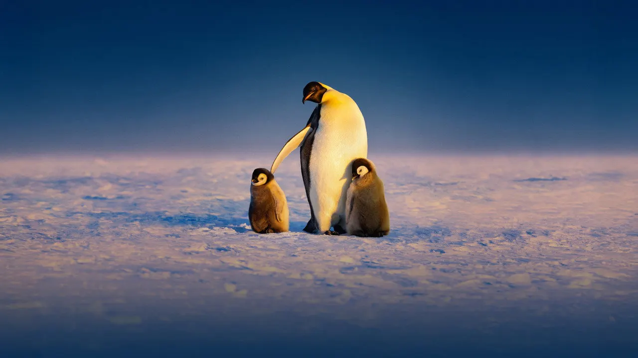 Secrets of the Penguins backdrop