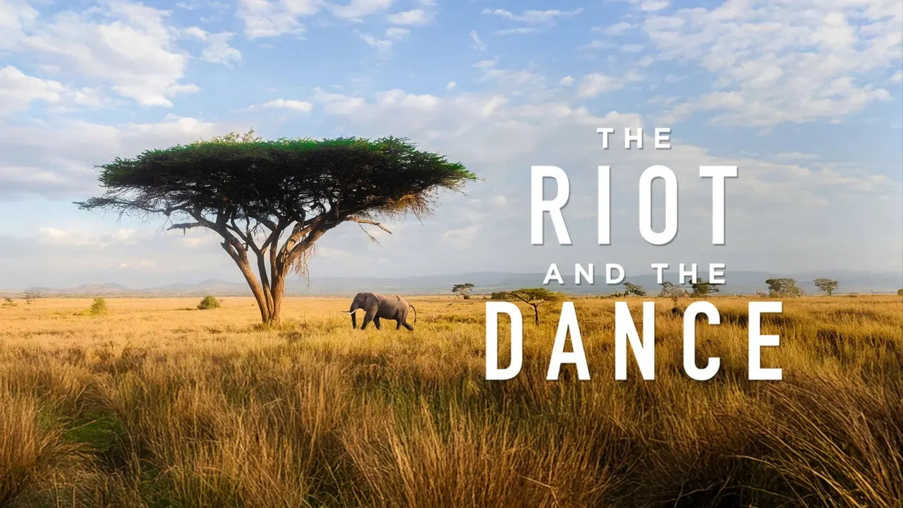 The Riot and the Dance backdrop