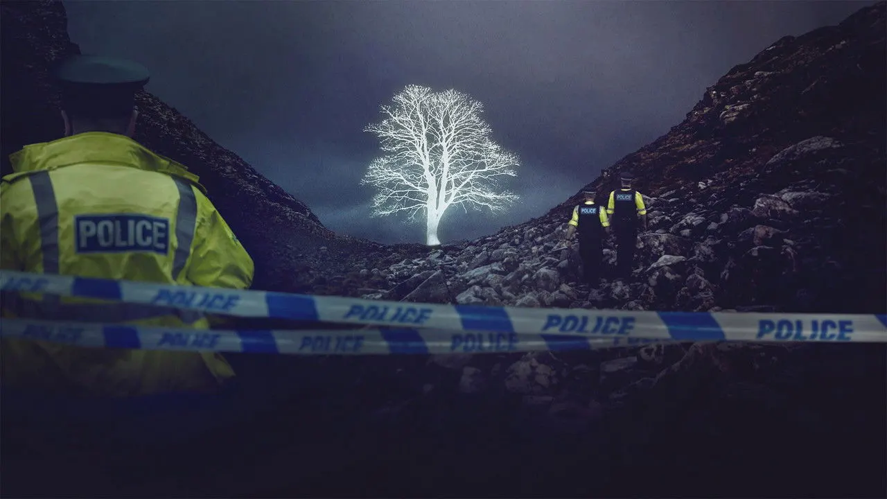 The Sycamore Gap Mystery backdrop