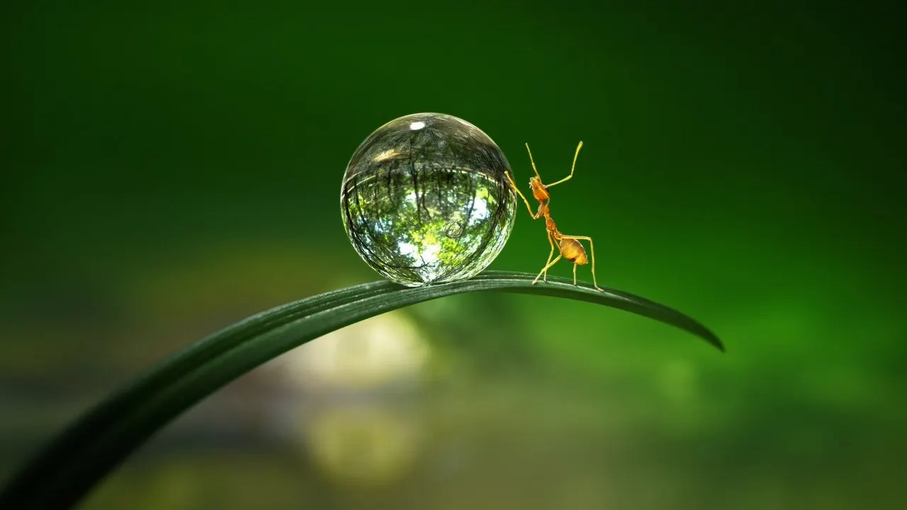Tiny World backdrop