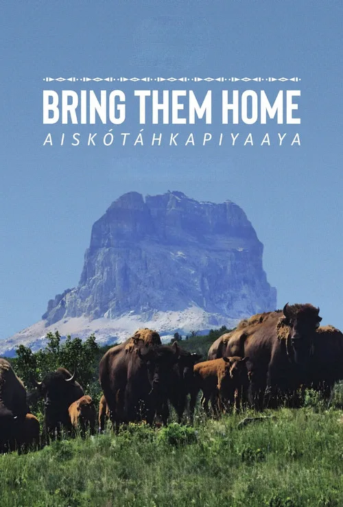Bring Them Home