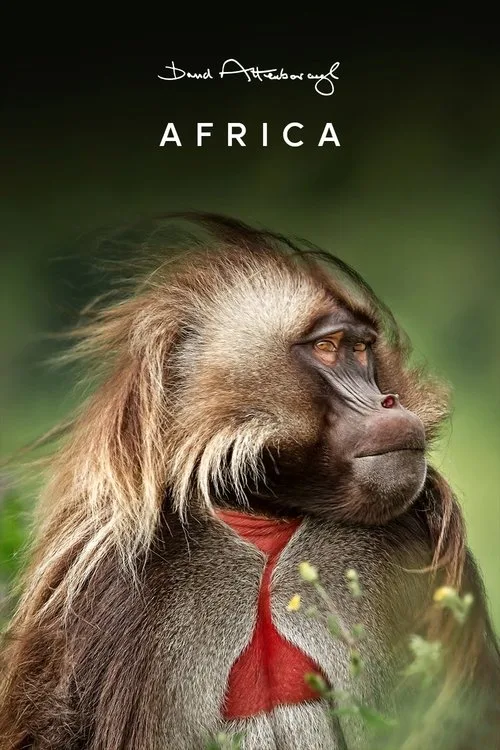 Africa